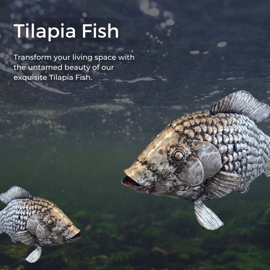 Tilapia Fish - Pangea Sculptures
