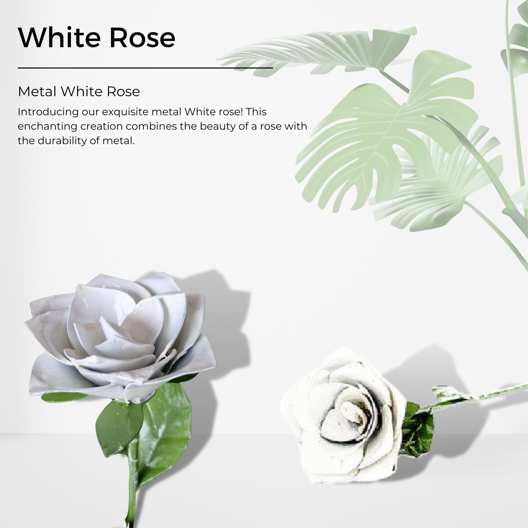 White Rose - Pangea Sculptures